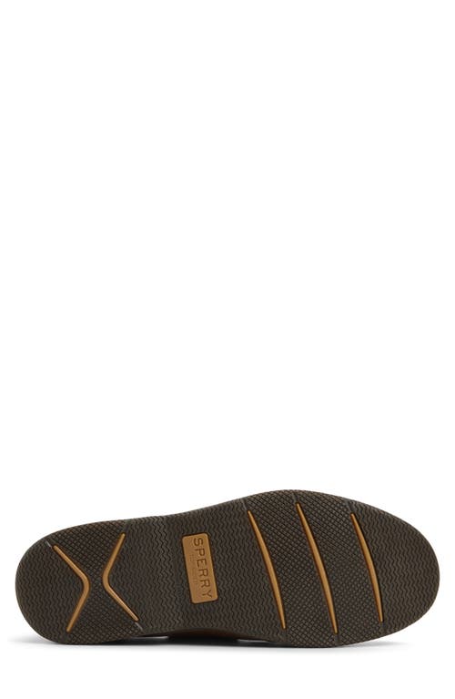 Sperry Surveyor 2-eye Boat Shoe In Brown