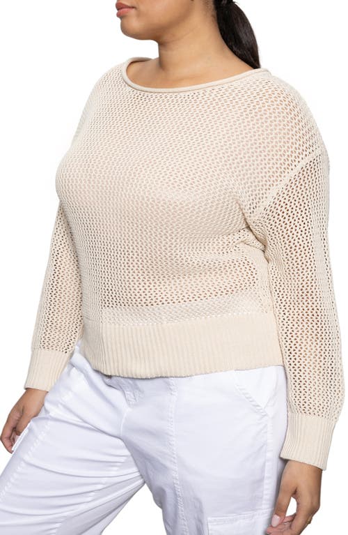 Sanctuary Open Stitch Sweater In White