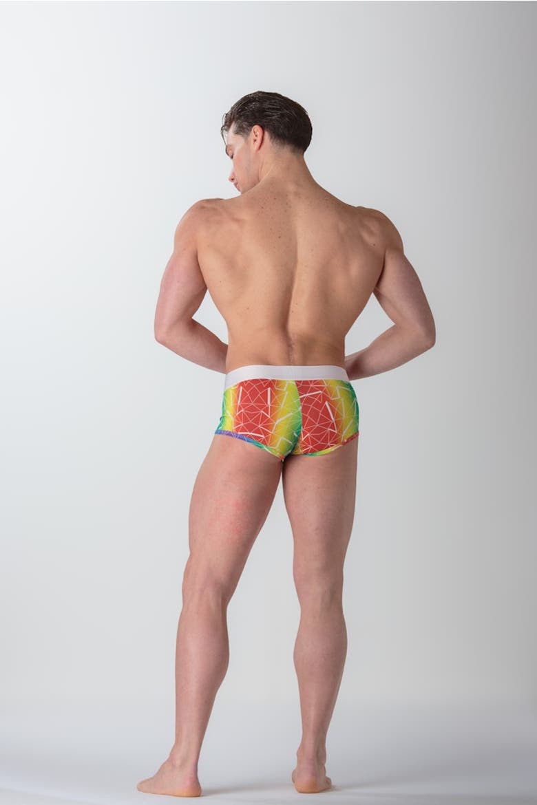 WOH Sexy Fun Trunk, Alternate, color, Multico Print