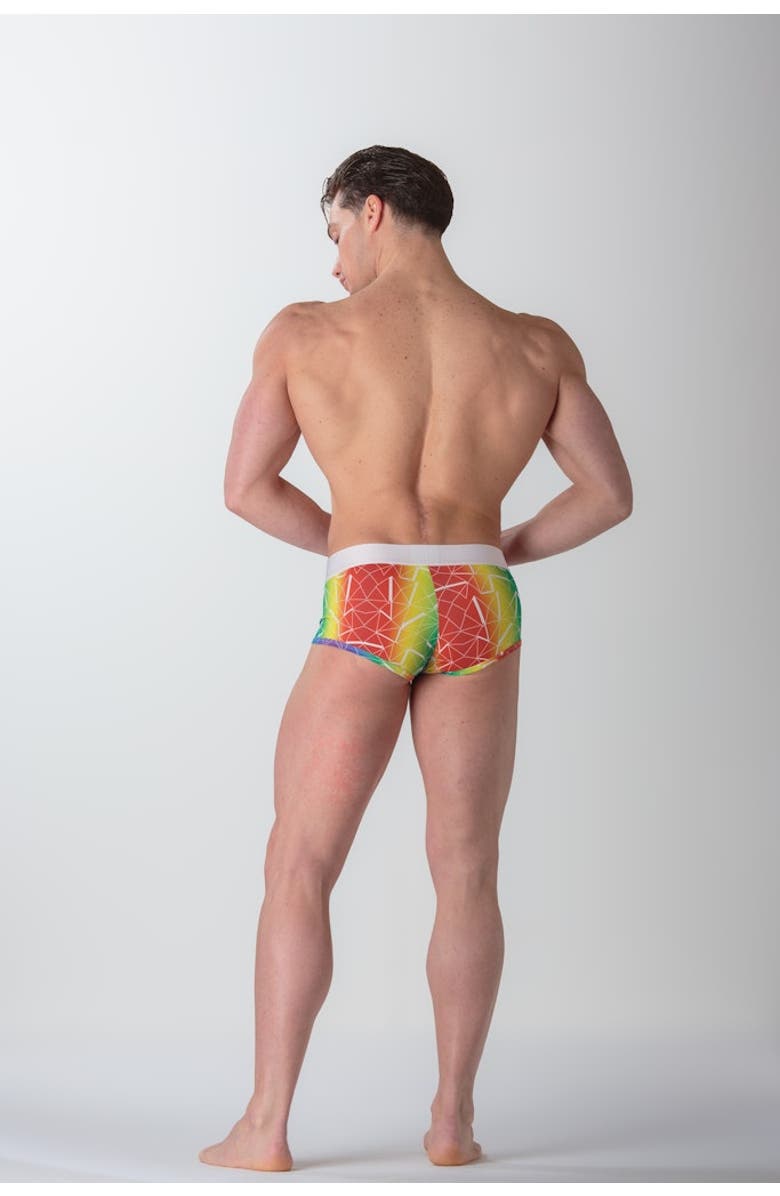 HOM WOH Sexy Fun Trunk, Alternate, color, Multico Print