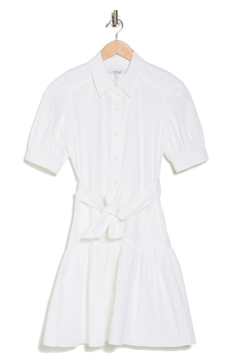 Derek Lam 10 Crosby Luma A-Line Shirtdress, Alternate, color, 