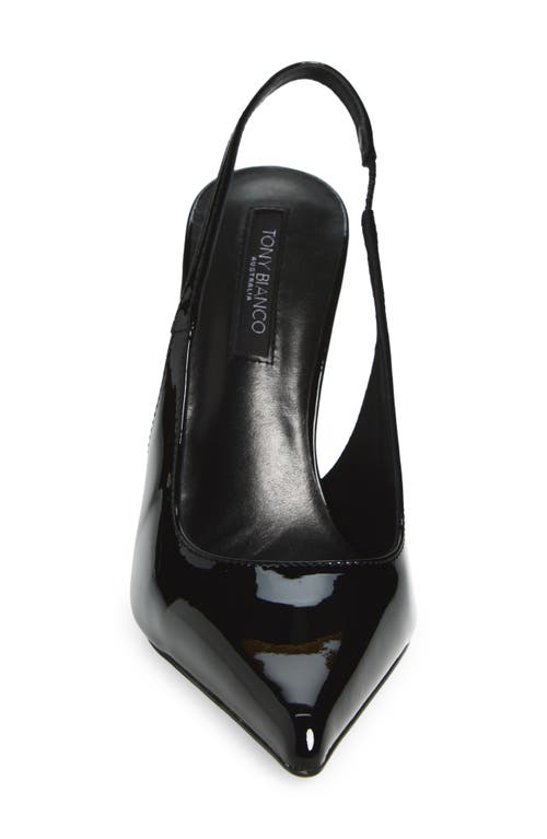 Tony Bianco Slingback Pointed Toe Pump In Black