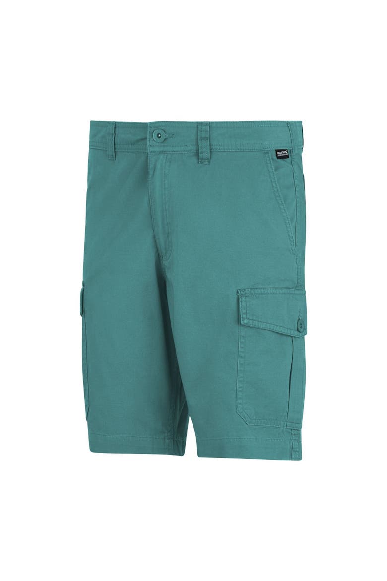 Ruwan Casual Shorts, Alternate, color, Arctic