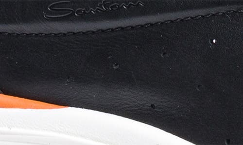 Santoni Bounce Sneaker In Black