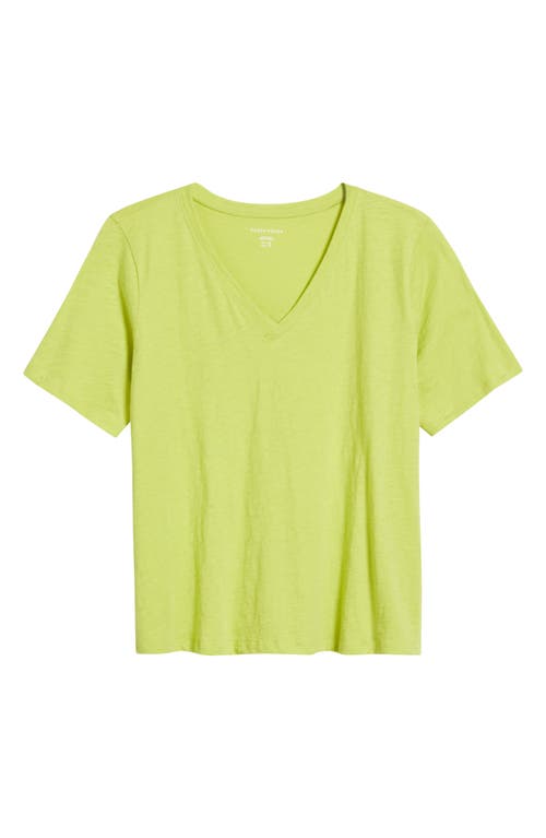 Eileen Fisher Easy V-neck Organic Cotton T-shirt In Chartreuse
