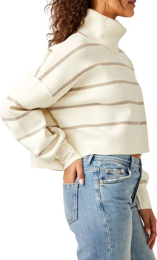 Paulie Stripe Turtleneck Sweater