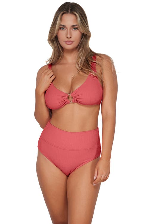 Pacifica By Sunsets Hannah High Waist Bikini Swim Bottoms In Hibiscus Tea