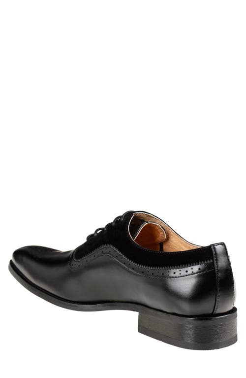 Gino Vitale Wingtip Oxford In Black