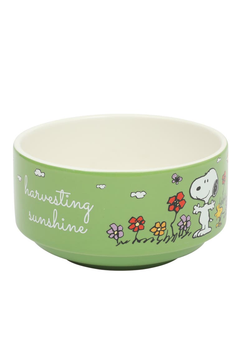 Snoopy's Garden Patch Stackable Stoneware Bowl Set, Alternate, color, Assorted Colors
