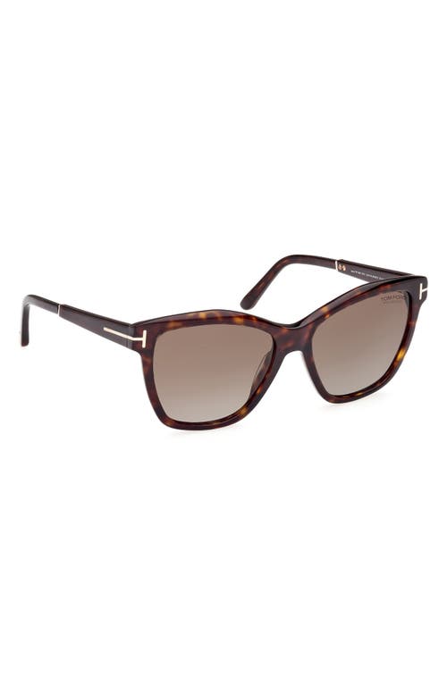 Tom Ford Lucia 54mm Polarized Square Sunglasses In Classic Dark Havana/t Logo