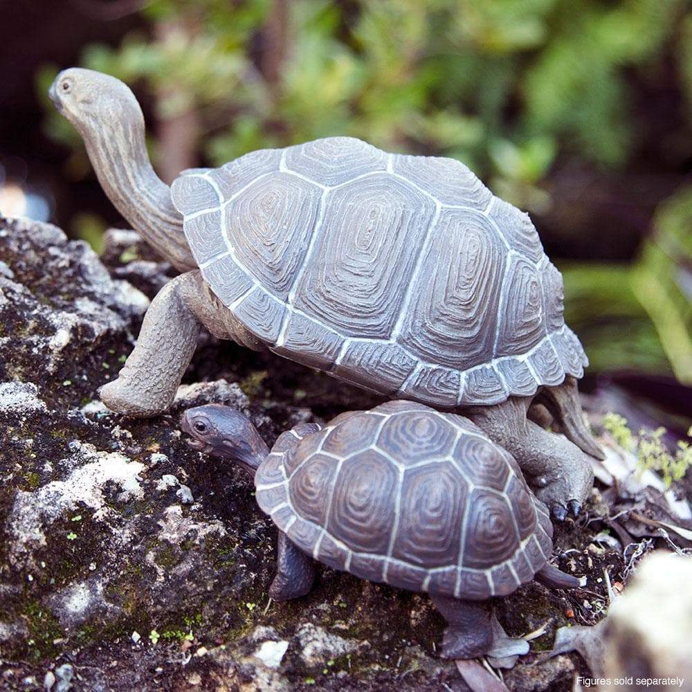 Tortoise Baby Toy | Nordstrom