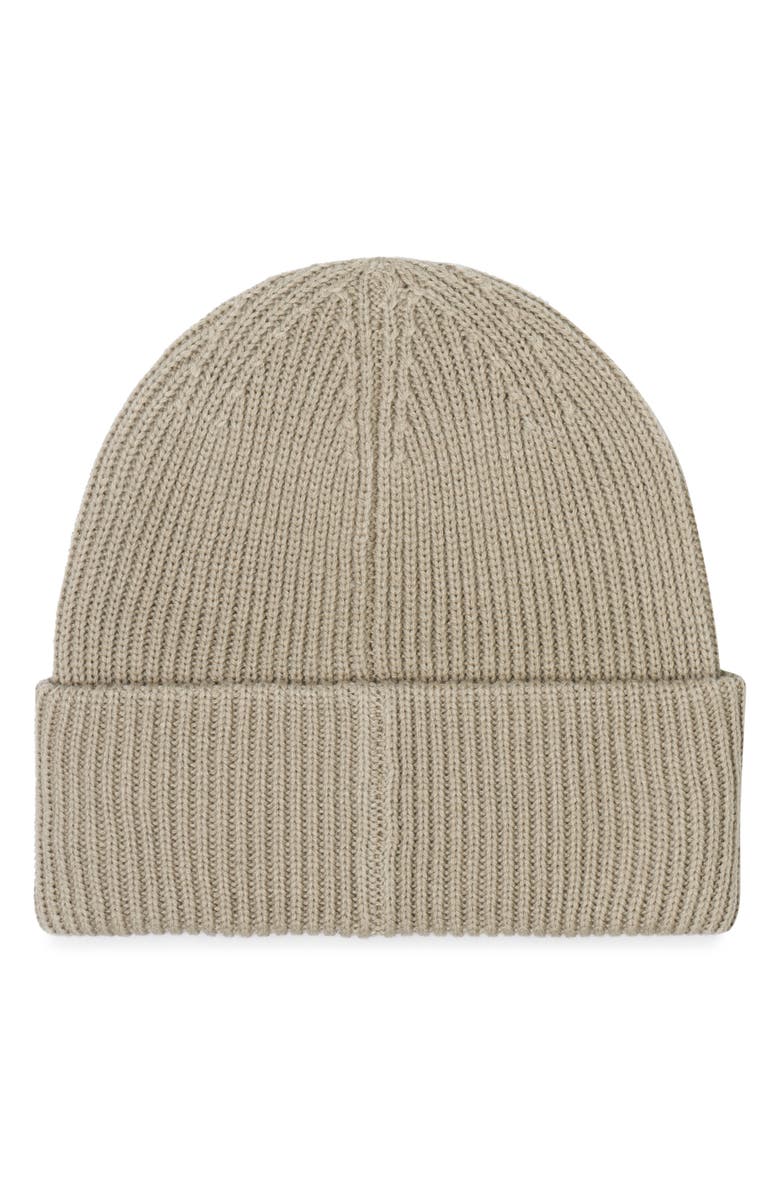Arctic Fox & Co The Recycled Bottle Beanie, Alternate, color, Arctic Grey