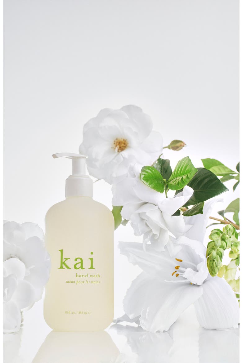 Hand Wash, Alternate, color, NO COLOR