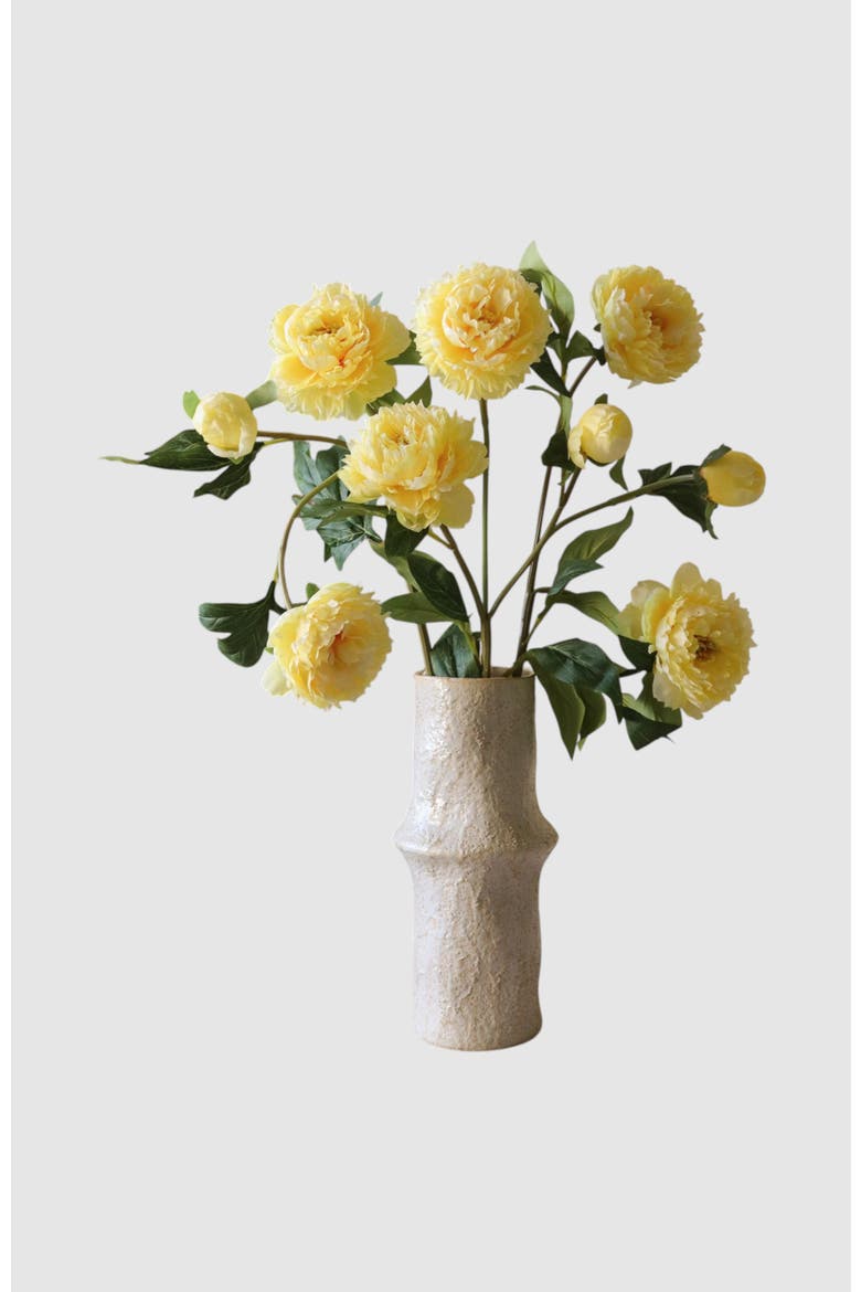 Yellow Peony Flower, Alternate, color, Yellow