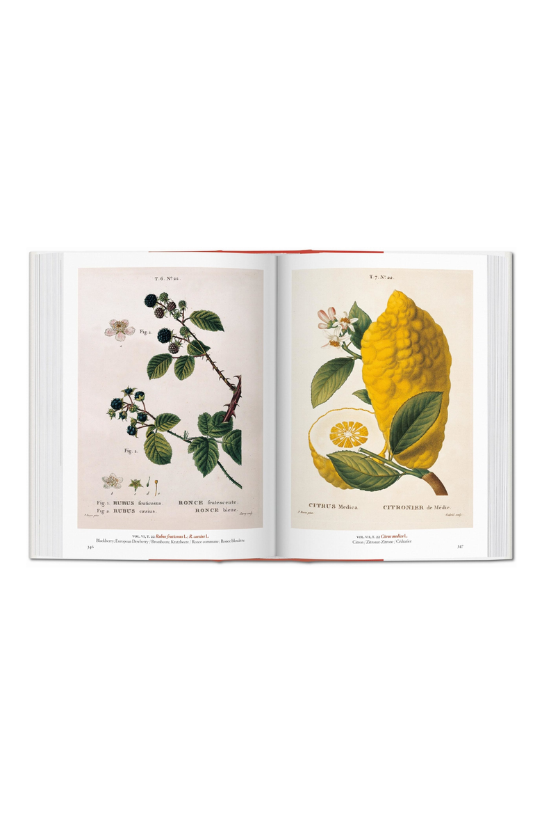 A Garden Eden Masterpieces of Botanical Illustration 45th Edition Book, Alternate, color, Off-White