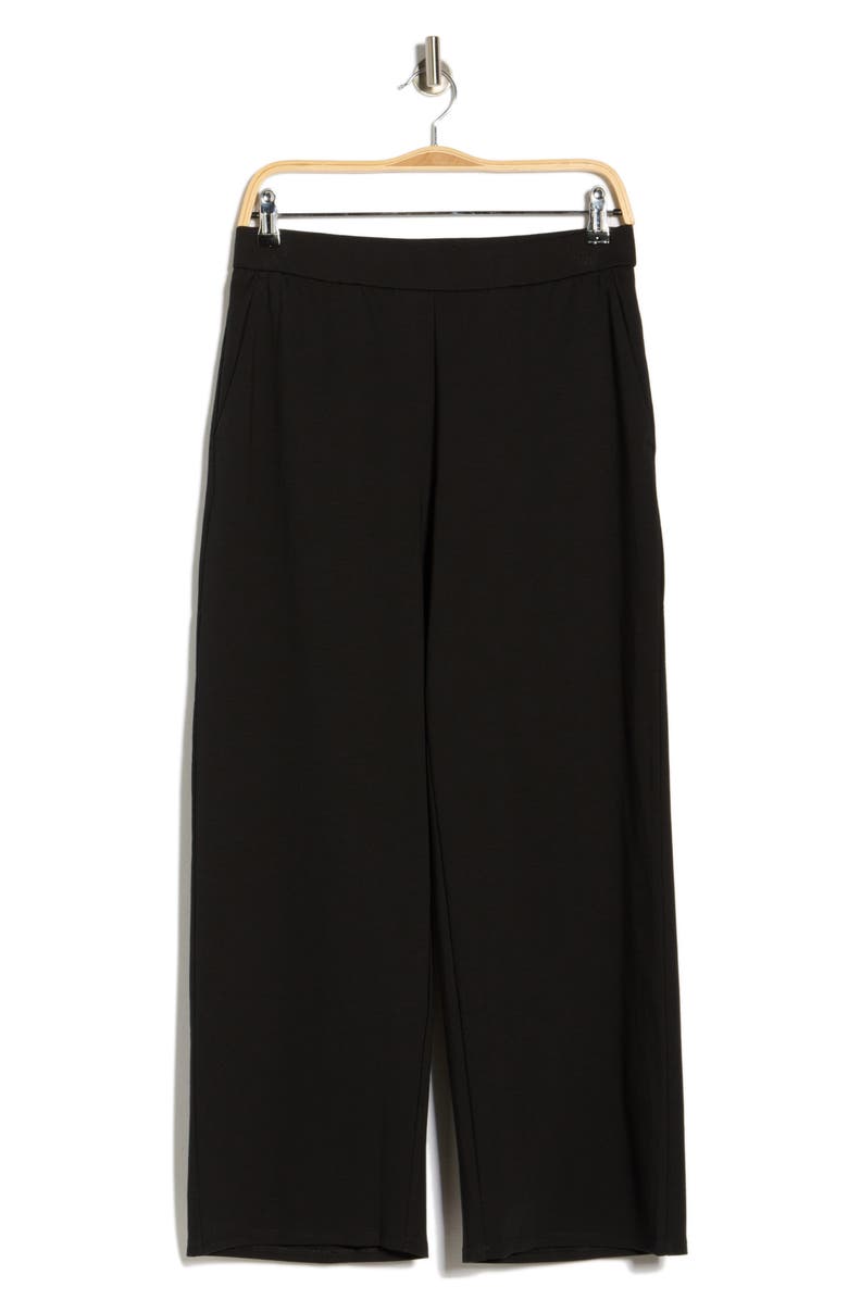Eileen Fisher Ankle Wide Leg Pants, Main, color, Black