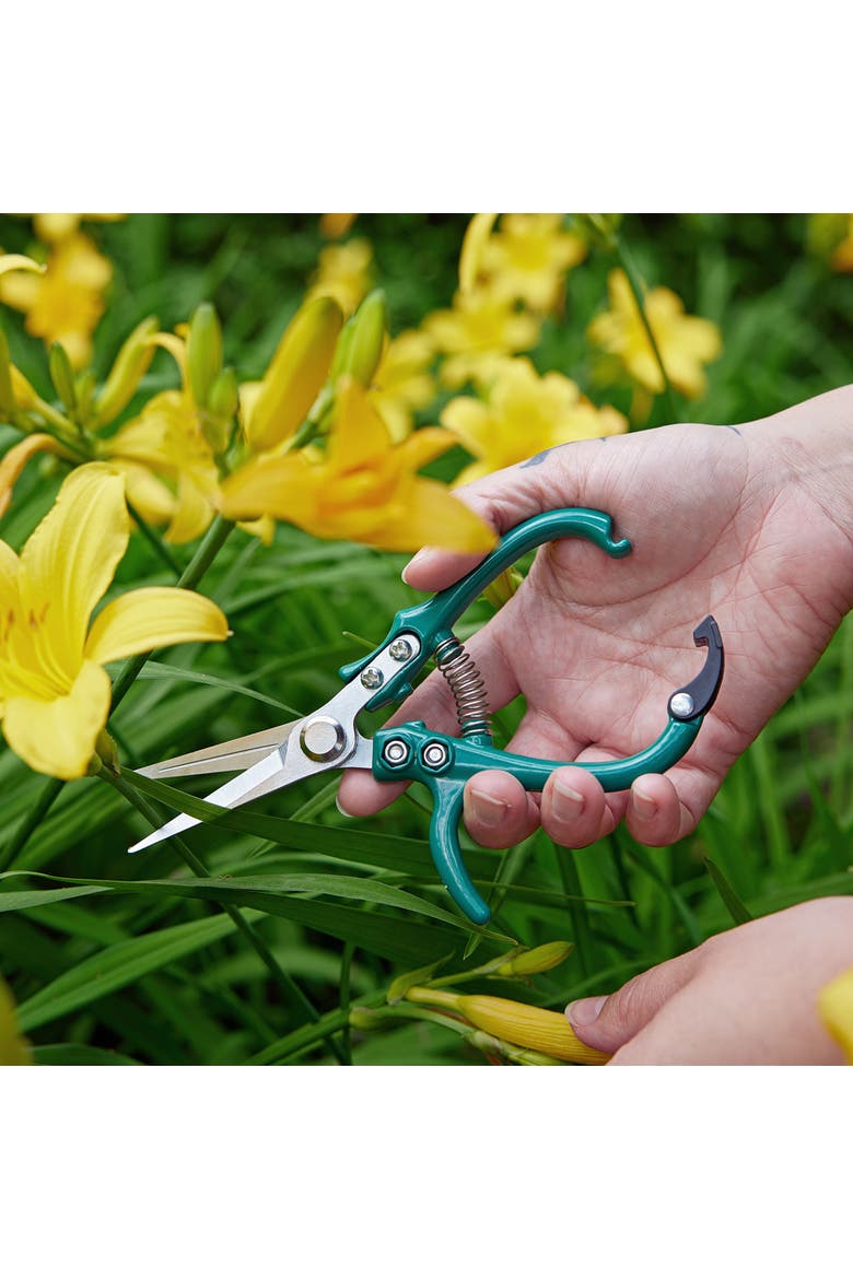 2pk Shears + Pruners, Alternate, color, Ocean