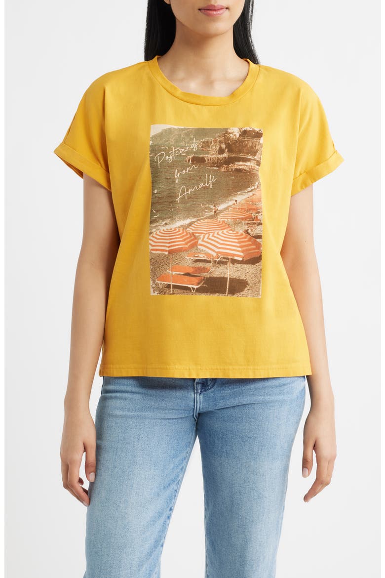 Cuffed Stretch Cotton Graphic T-Shirt, Main, color, MUSTARD