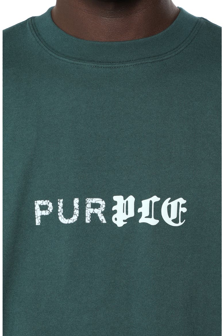 Heavyweight Jersey Graphic T-Shirt, Alternate, color, GREEN