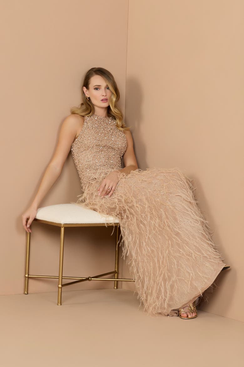 Embellished Lace Sleeveless Feather Gown, Alternate, color, Porcelain