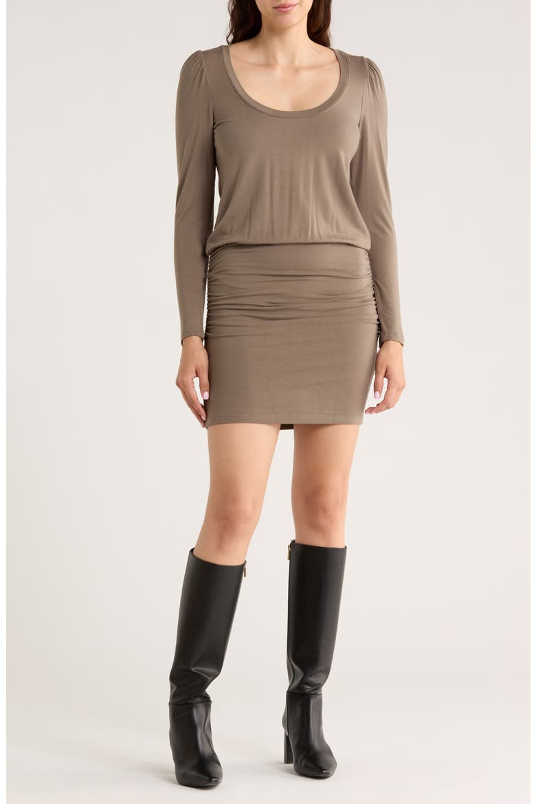 Tavia Long Sleeve Dropped Waist Minidress, Main, color, BRINDLE