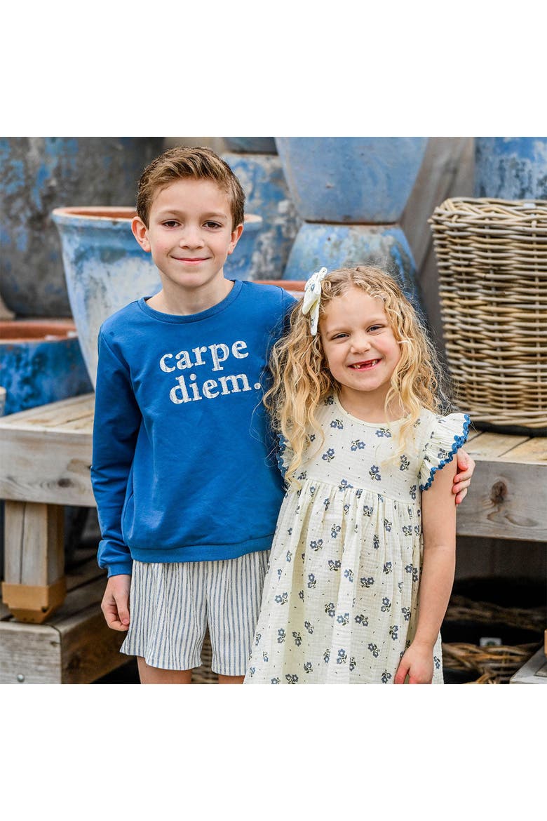 Carpe Diem Brooklyn Boxy Sweatshirt, Alternate, color, French Blue