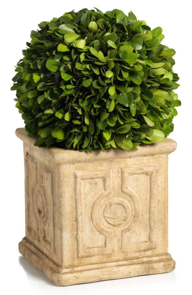 Zodax Cinza Boxwood Topiary Decoration, Main, color,