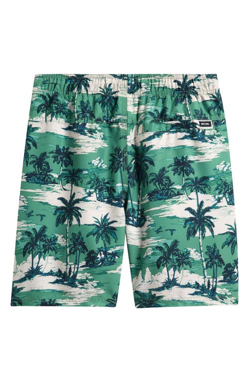Rip Curl Kids' Dreamers Volley Shorts In Green