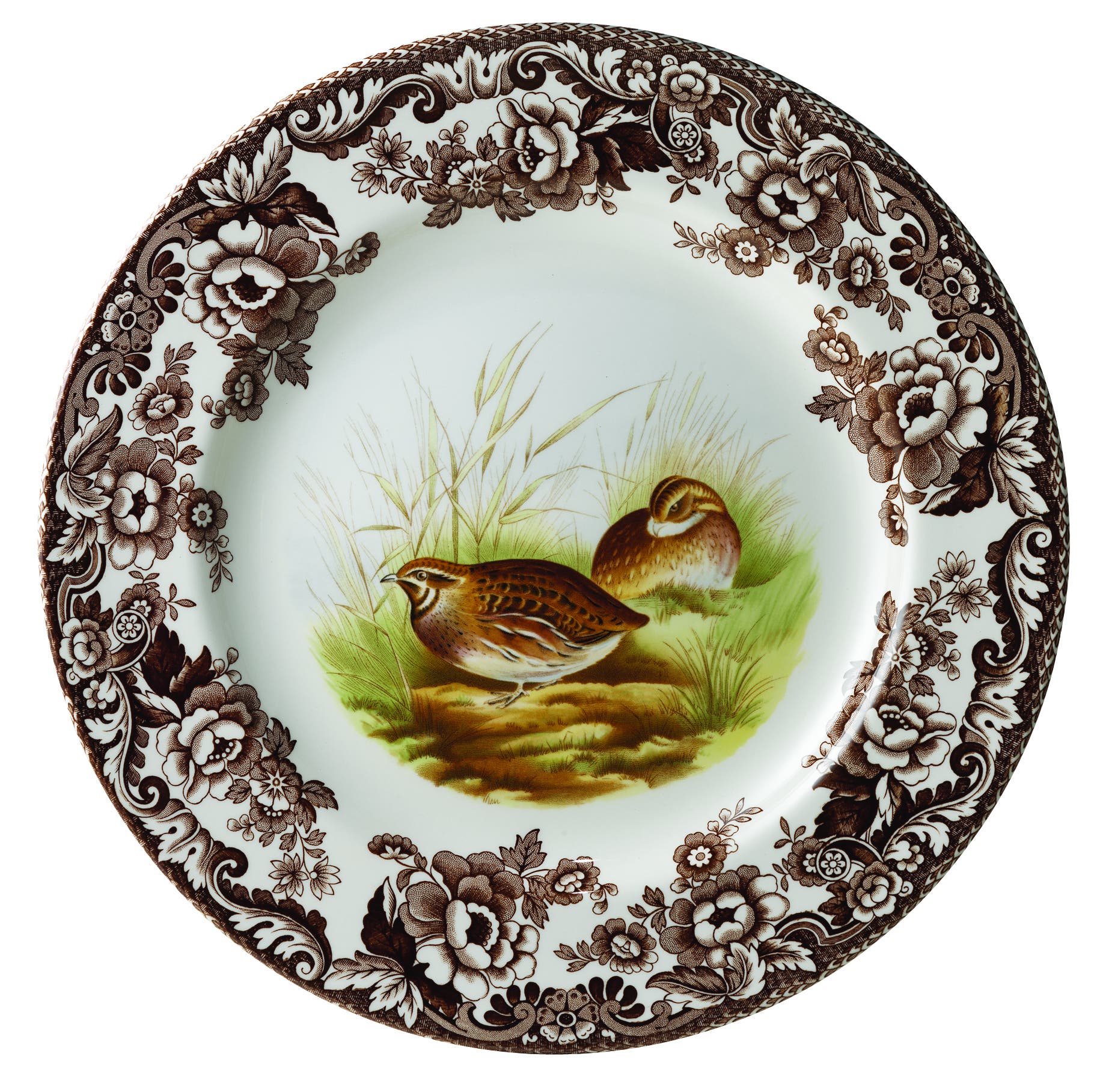 Quail