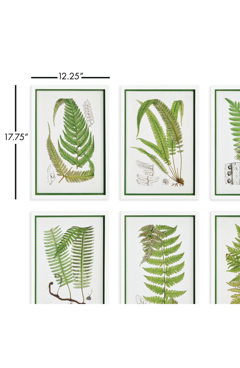 Napa Home & Garden Layered Fern Prints Set of 6, Alternate, color, Green