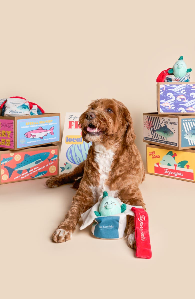 the furryfolks Fish Express Nosework Toy, Alternate, color, Green