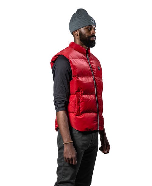 Woodpecker Unisex Vest In Red