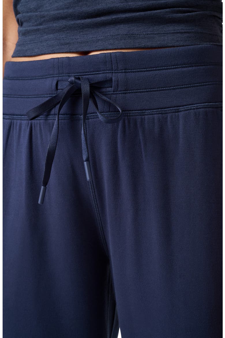 Skyloft Soft Ankle Pants, Alternate, color, NAVY BLAZER