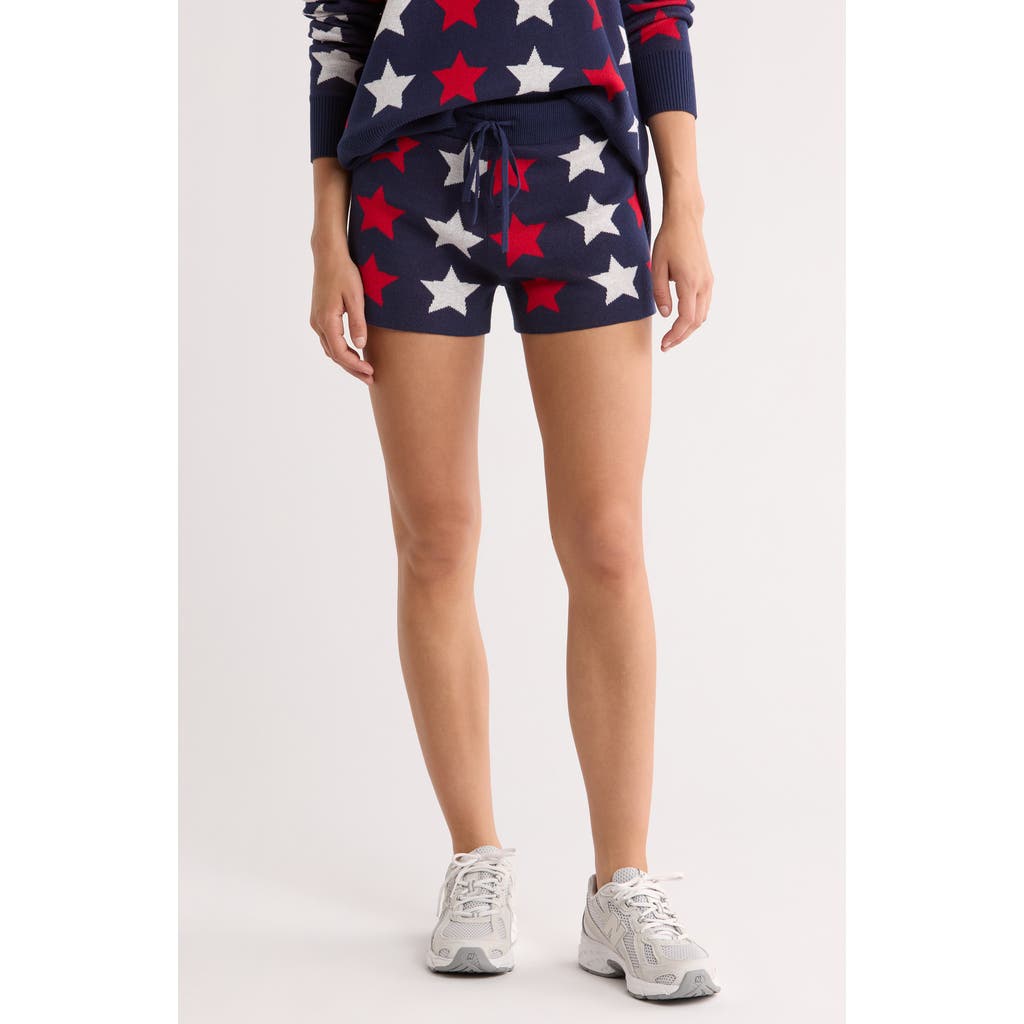 Beach Riot Balboa Shorts in Americana  product