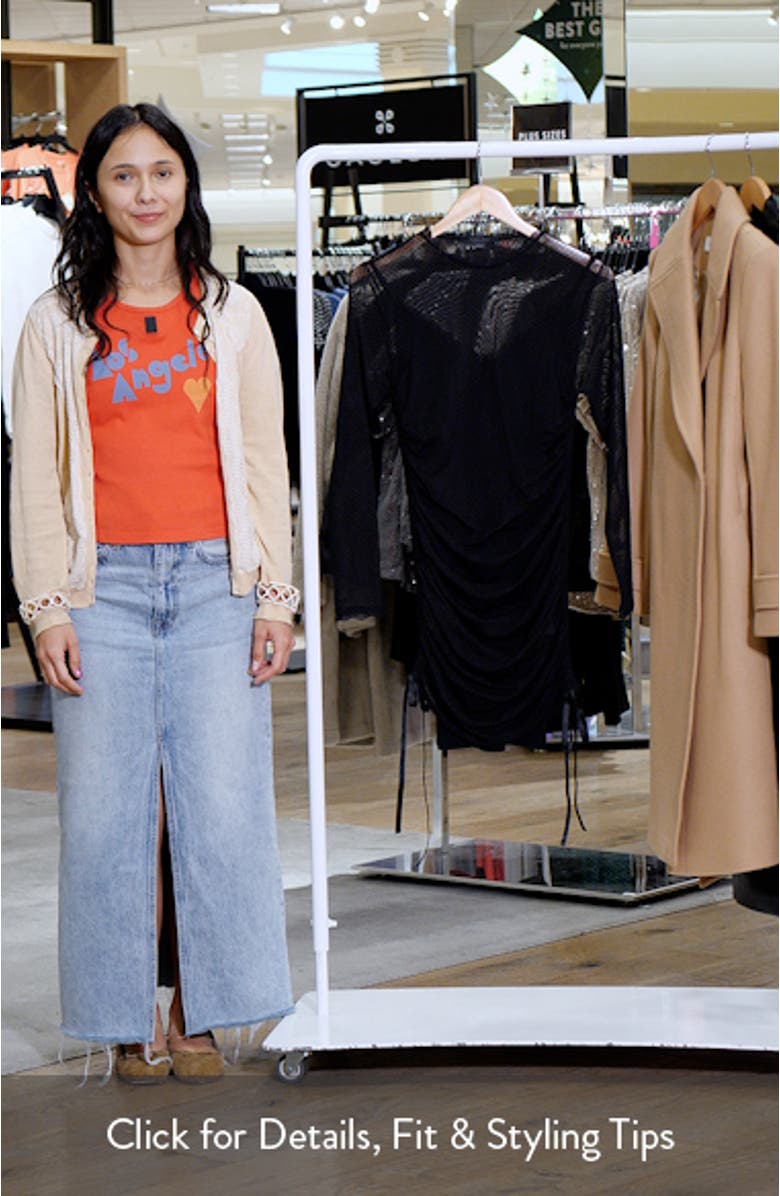 Adara Swiss Dot Long Sleeve Mesh Dress, sales video thumbnail