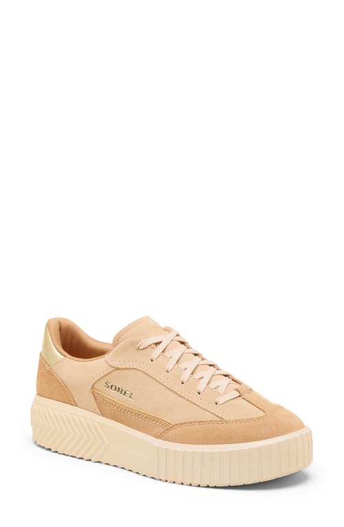 Sorel Ona Ave T-toe Platform Sneaker In Brown