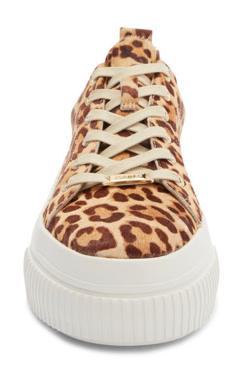 Jslides West Platform Sneaker In Brown