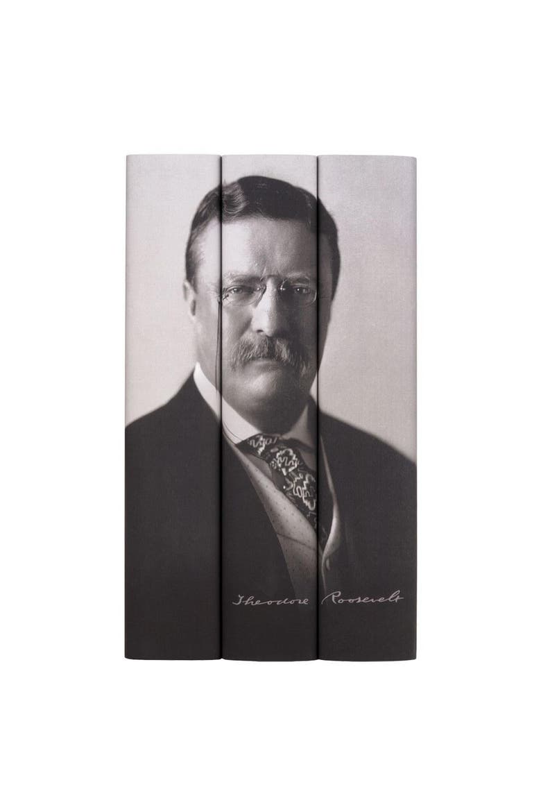 Theodore Roosevelt Book Set, Main, color, Cool Neutral