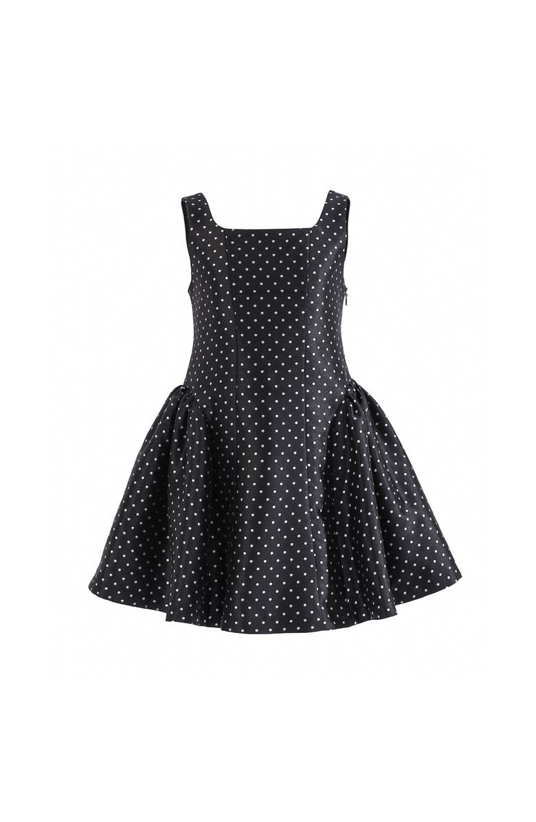 Tulleen Calivra Polka Dot Dress, Main, color, Black