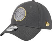 New Era Men's New Era Graphite Pittsburgh Steelers  Main 39THIRTY Flex Hat