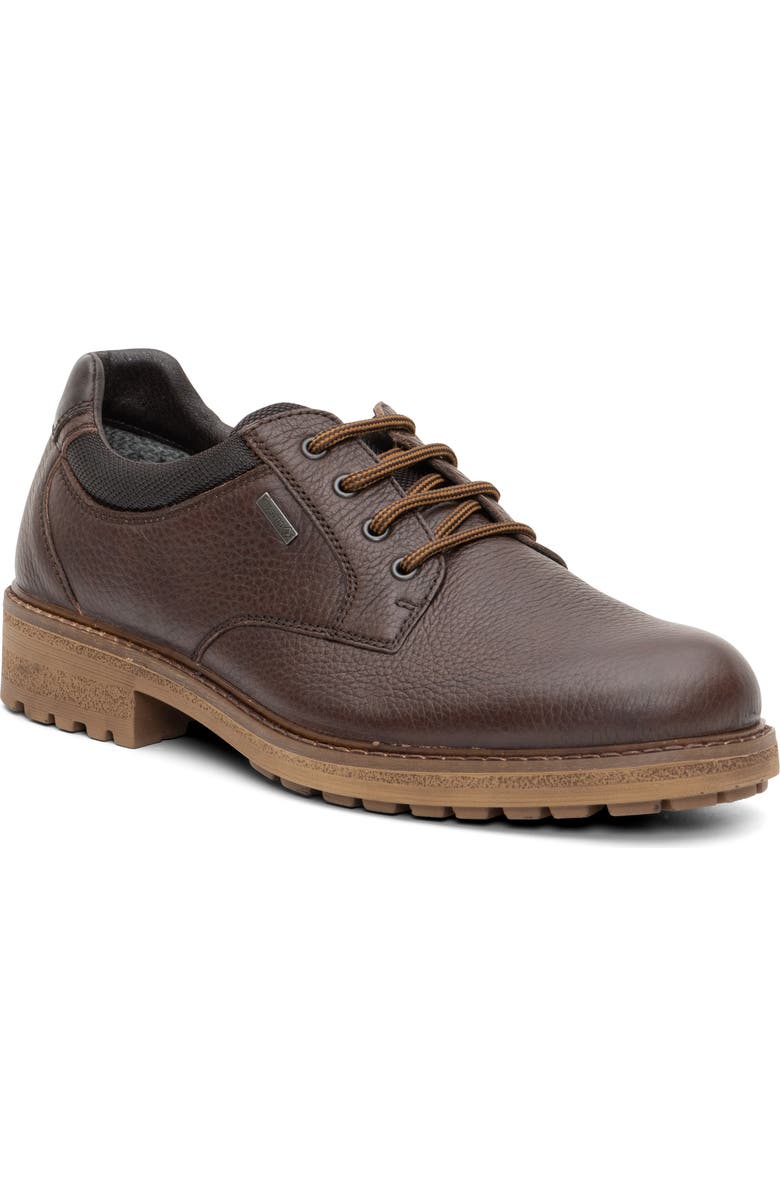ara Farren Waterproof Plain Toe Derby, Main, color, Brown