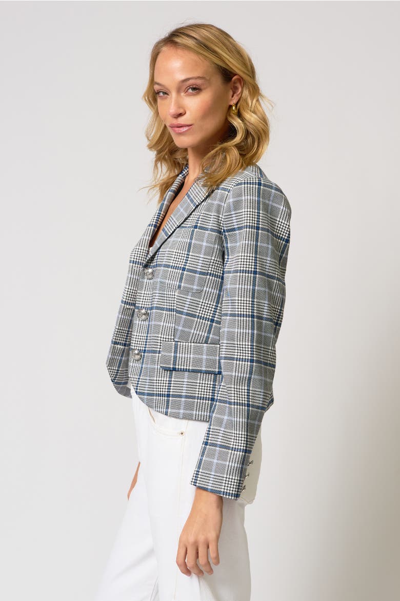 Paulie Plaid Blazer, Alternate, color, Blue Plaid
