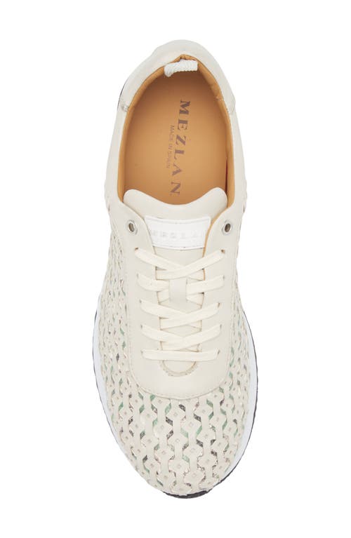 Mezlan Plata Sneaker In Light Green Multi
