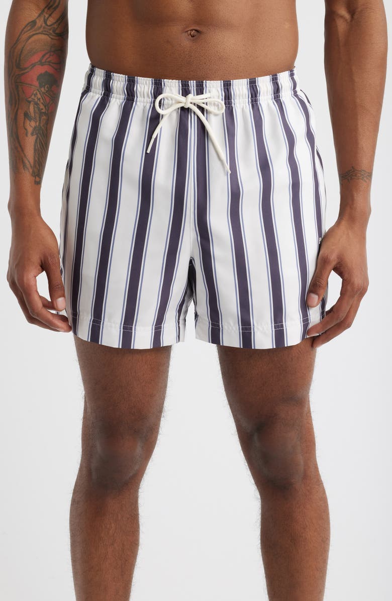 PacSun Mandarin Coal Stripe Swim Trunks, Main, color, 