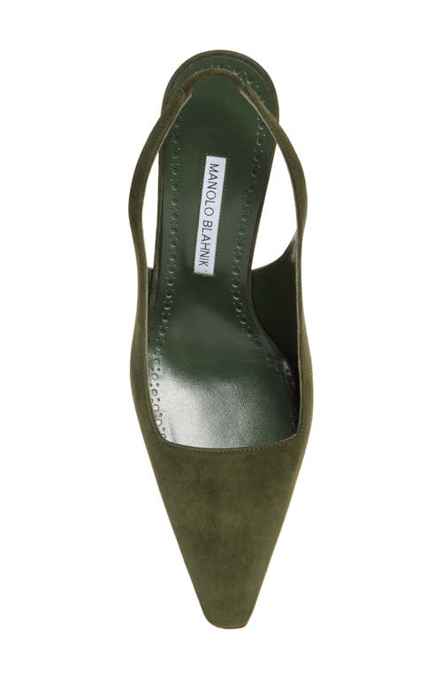 Manolo Blahnik Moirasli Pointed Toe Slingback Pump In Green