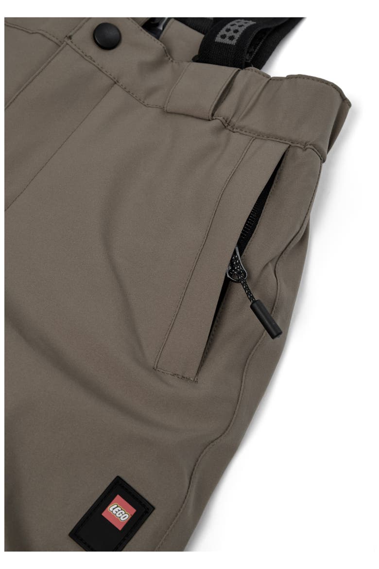 Kids' Waterproof Ski Pants, Alternate, color, BROWN