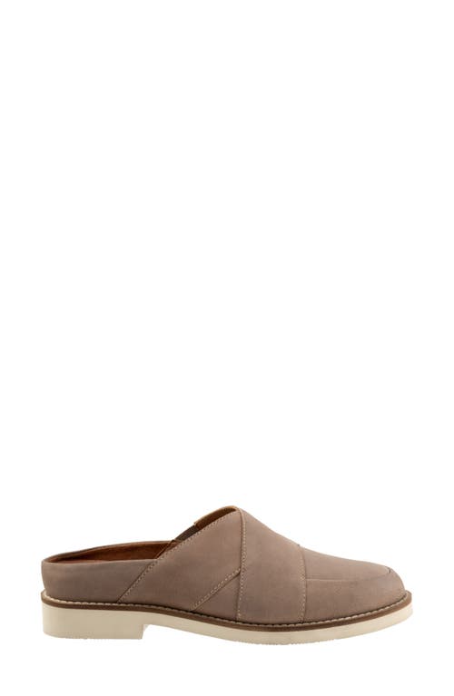 Softwalk ® Wessex Mule In Taupe Nubuck