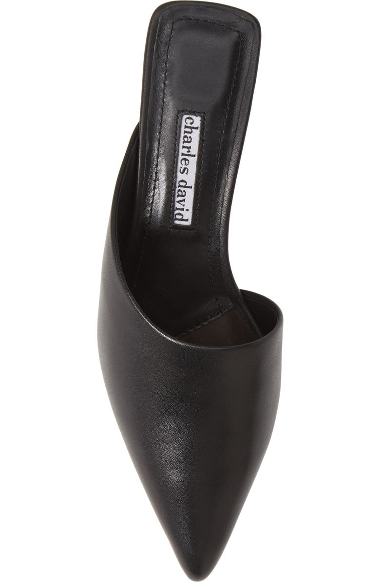 Charles David Proven Mule, Alternate, color,