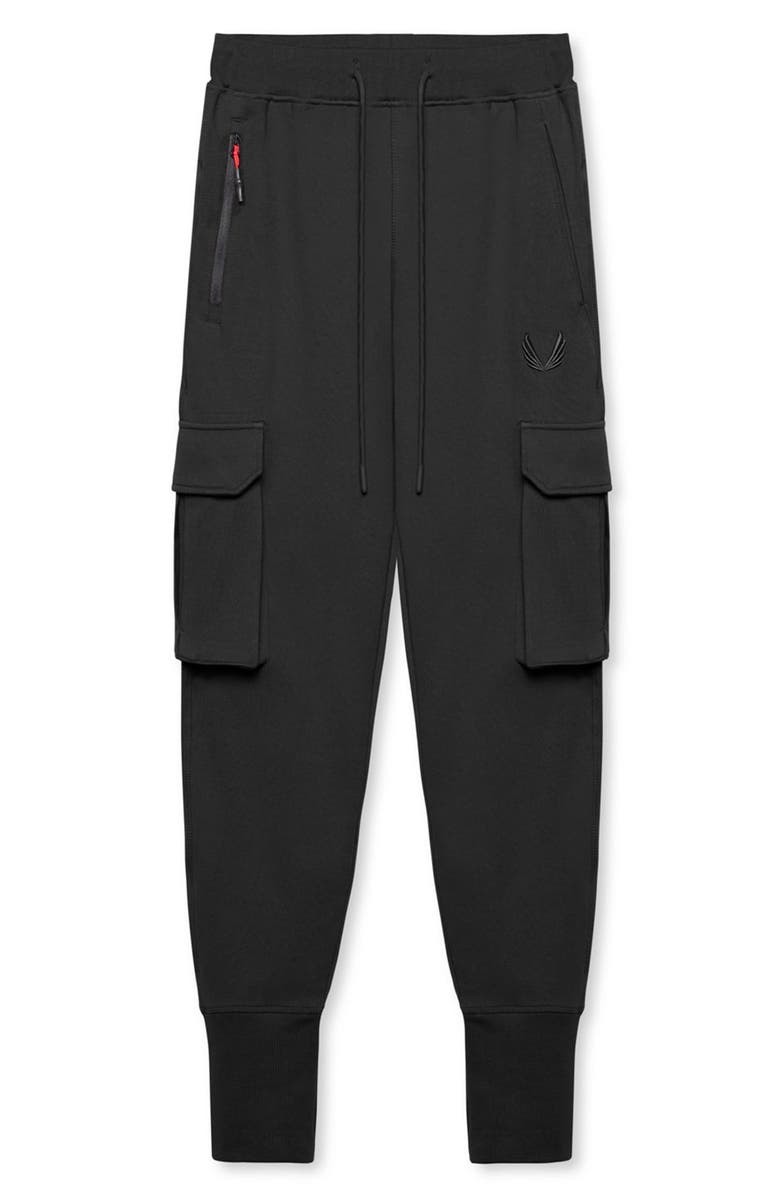 ASRV Tech-Terry<sup>™</sup> High Rib Cargo Joggers, Alternate, color, 