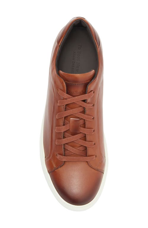 To Boot New York Mesa Low Top Sneaker In Cognac
